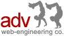 ADV/web-engineering